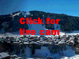 Steerable video cam