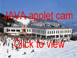 Java video applet with capture facility.